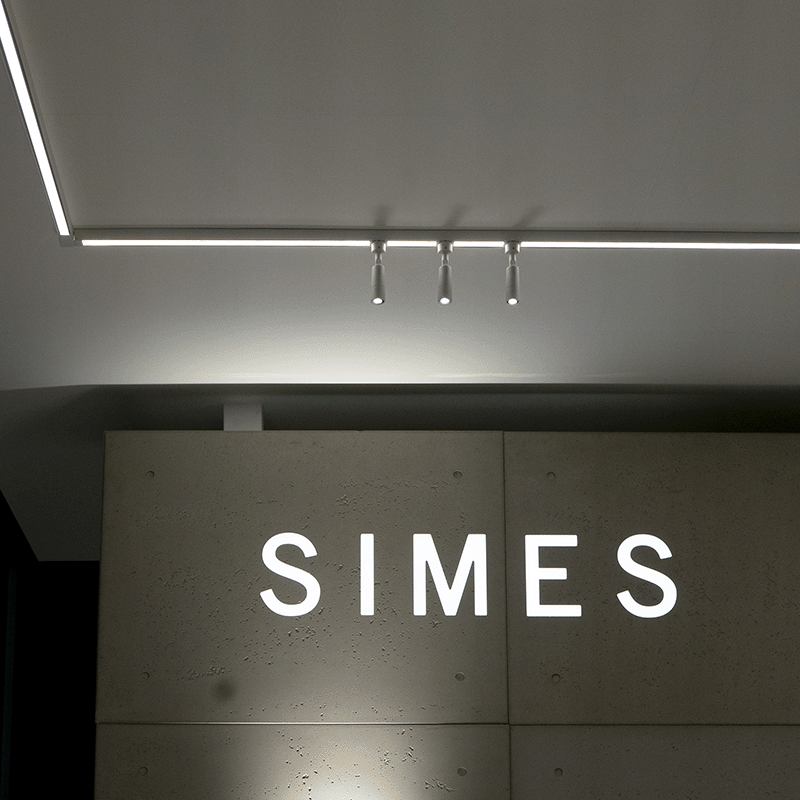 Het IP System van Simes